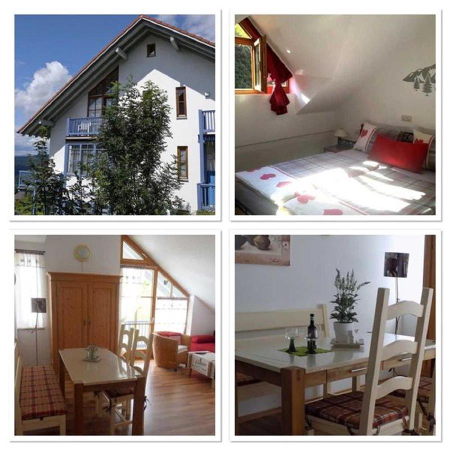 Ferienland Sonnenwald Fewo 46 Und Studio 50 In Schoefweg Bayerischer Wald Ngoại thất bức ảnh