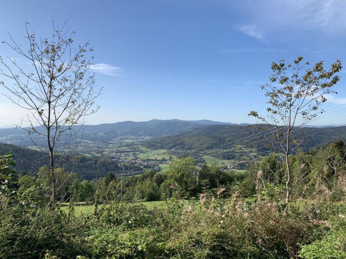 Ferienland Sonnenwald Fewo 46 Und Studio 50 In Schoefweg Bayerischer Wald Ngoại thất bức ảnh