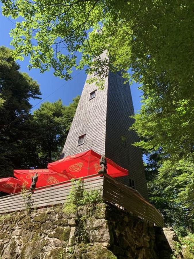 Ferienland Sonnenwald Fewo 46 Und Studio 50 In Schoefweg Bayerischer Wald Ngoại thất bức ảnh