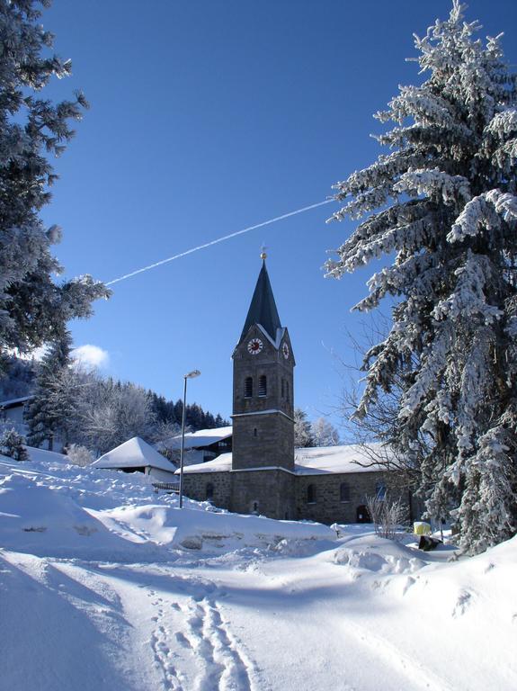 Ferienland Sonnenwald Fewo 46 Und Studio 50 In Schoefweg Bayerischer Wald Ngoại thất bức ảnh