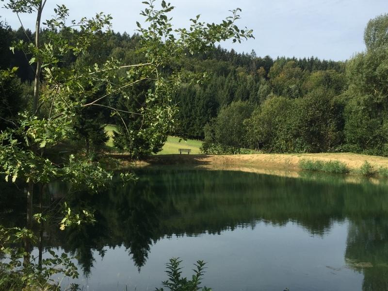Ferienland Sonnenwald Fewo 46 Und Studio 50 In Schoefweg Bayerischer Wald Ngoại thất bức ảnh